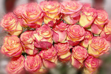 Similar image 1231316