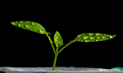 Similar image 1231339