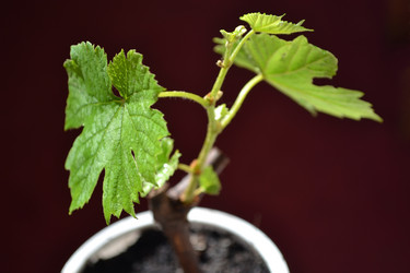 Similar image 1231476