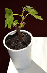 Similar image 1231477