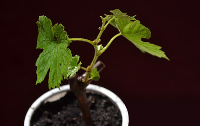 Similar image 1231478