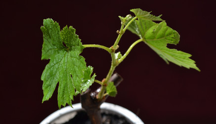 Similar image 1231479