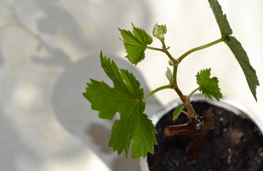 Similar image 1231480