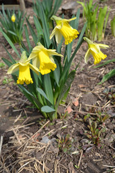 Similar image 1231482