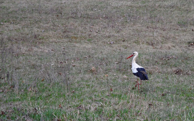 Similar image 1231483