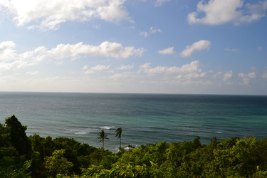 Similar image 1231487