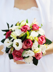 Similar image 1231507