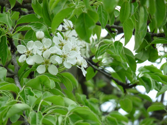 Similar image 1231510