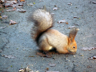 Similar image 1231513