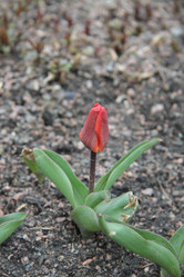 Similar image 1231549