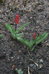 Similar image 1231550