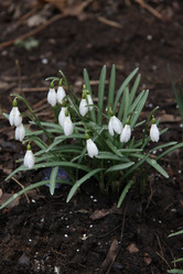 Similar image 1231551