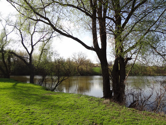 Similar image 1231637