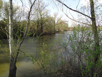 Similar image 1231639