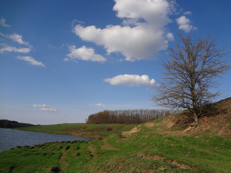 Similar image 1231643