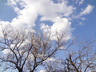 Similar image 1231645