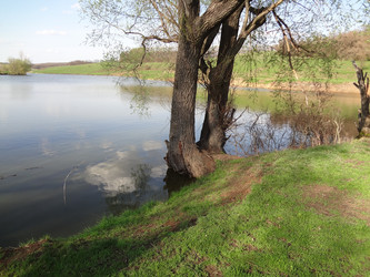 Similar image 1231647