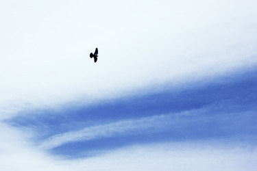 Similar image 1231648