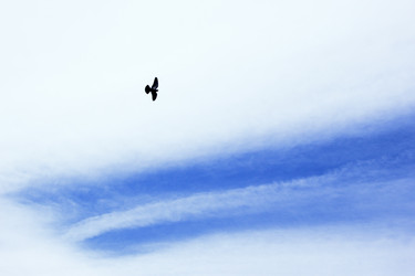 Similar image 1231649