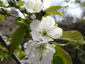 Similar image 1231688