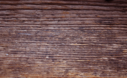 Similar image 1231730