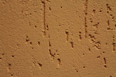 Similar image 1231751