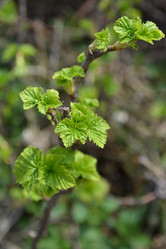 Similar image 1231755