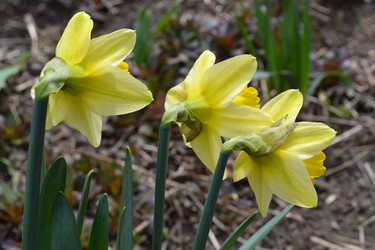 Similar image 1231756