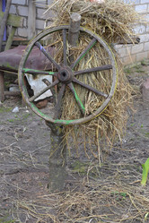 Similar image 1231759