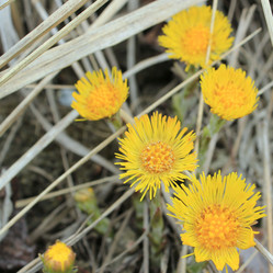 Similar image 1231768