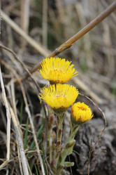 Similar image 1231769