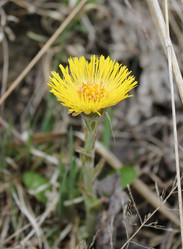 Similar image 1231771