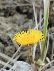 Similar image 1231774