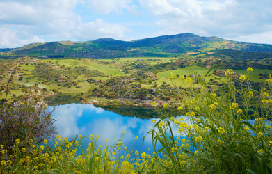 Similar image 1231781