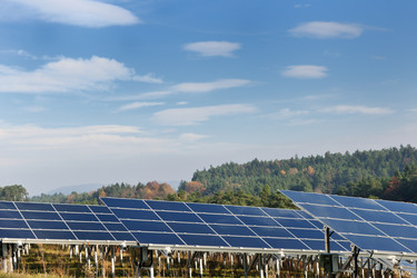 Similar image 1231828