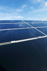 Similar image 1231837