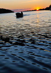 Similar image 1231994