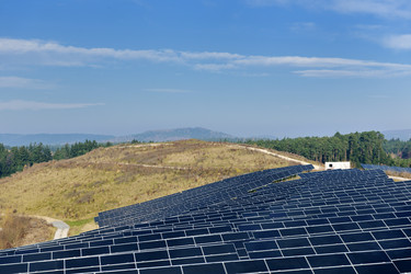 Similar image 1232035