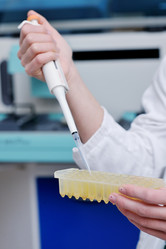 Similar image 1232041