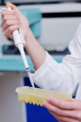 Similar image 1232042