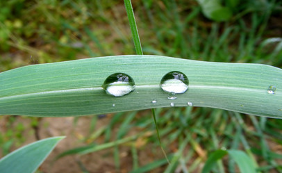 Similar image 1232133