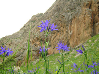 Similar image 1232135