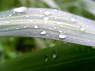 Similar image 1232137