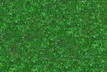 Similar image 1232140