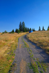 Similar image 1232158