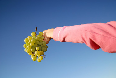 Similar image 1232162