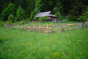 Similar image 1232165