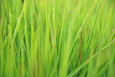 Similar image 1232166