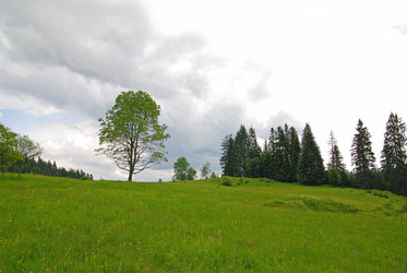 Similar image 1232167