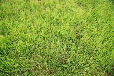 Similar image 1232181